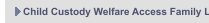 Child Custody Welfare Access Family Law